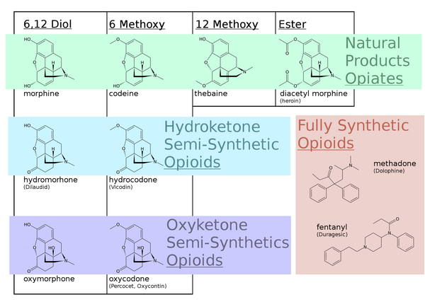 Opiates v. opioids with chemical structures indicated. Many classical opiates are also referred to as opioids in modern nomenclature.