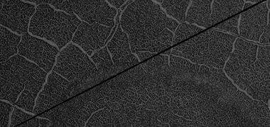 Still closer view of polygons, as seen by HiRISE under the HiWish program
