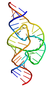 Full length hammerhead ribozyme.png