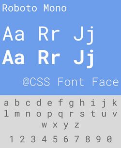 Roboto Mono Specimen.jpg
