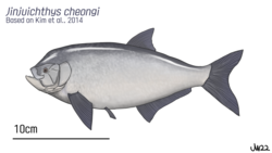 Jinjuichthys.png