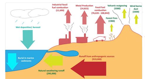 Lead cycle