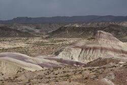 Javelina Formation by Nick Longrich.jpg