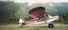Bush plane Piper PA-18 Super Cub