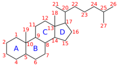 Steroid-nomenclature.svg