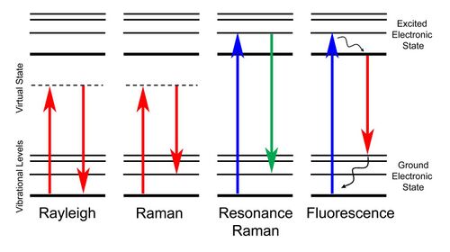 Energy level diagram showing scattering and fluorescence