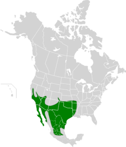 Geococcyx californianus map.svg