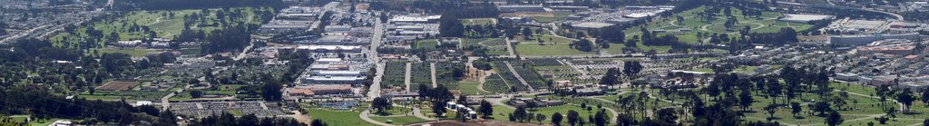 A panoramic view of Colma, California, looking down from San Bruno Mountain.