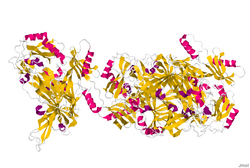 3LOY.pdb.png