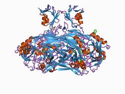 PDB 1d6u EBI.jpg