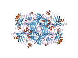 PDB 1ksi EBI.jpg