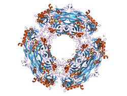 PDB 2oqe EBI.jpg