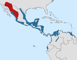 Buteogallus anthracinus range.svg