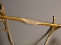Holmegaard bow (reconstruction), Denmark, 7000 BC[5]
