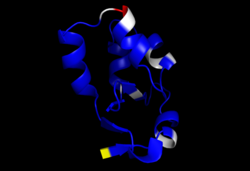 output of CheShift-2 red colored residues are flaws that should be