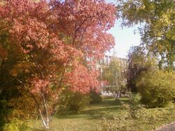 Astu barnaul autumn 2008.jpg