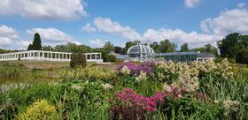 VMU Botanical Garden in Kaunas 2019-07-15.jpg