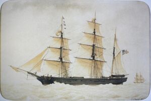 Race horse-François Roux mg 0604.jpg