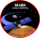 Mars Global Surveyor - patch transparent.png