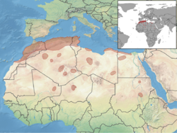 Gerbillus campestris distribution.png