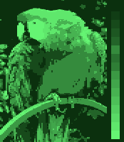 Screen color test AmstradCPC 16colors mono.png