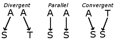 Evolutionary trends.jpg