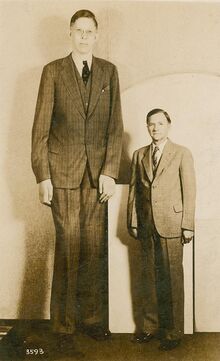 Robert Wadlow postcard.jpg
