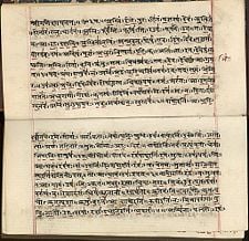 Rigveda MS2097.jpg