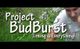 Budburst.jpg