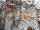 ParticlesCol 1.png