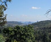 Groenkloof Nature Reserve