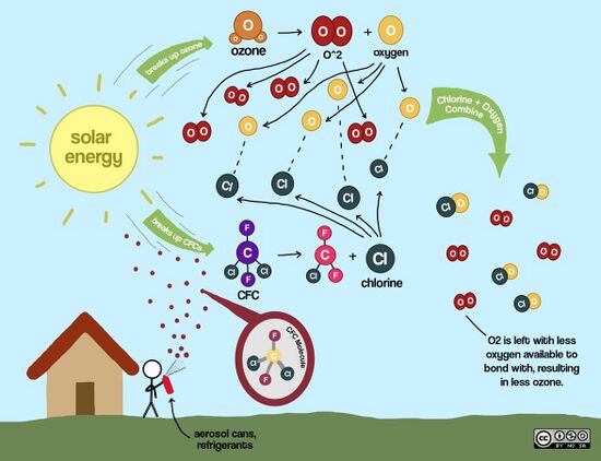 Illustration of chlorine-catalyzed ozone destruction in the atmosphere