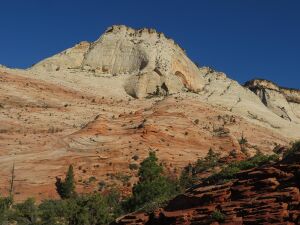 Ant Hill Zion-Mount Carmel Highway, Zion National Park, Utah.jpg