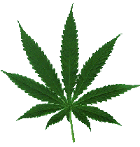 Marijuana Leaf.gif