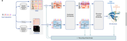 Model architecture. Arrows show the information flow among the various components described in this paper. Array shapes are shown in parentheses with s, number of sequences (Nseq in the main text); r, number of residues (Nres in the main text); c, number of channels.