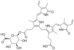 Bilirubin glucuronide.svg