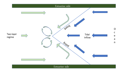 The schematic illustration of tidal intrusion front with the flow pattern at the surface