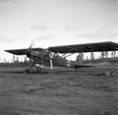 Fieseler Fi 156 Storch (SA-kuva 48792).jpg