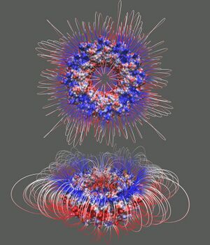 The electrostatic field lines of TRAP, trp RNA binding attenuation protein (PDB ID, 2EXS).jpg