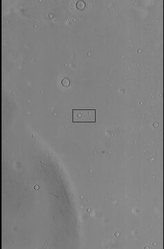 CTX context image for next image taken with HiRISE. Box indicates image footprint of following image.