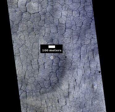 Color view of polygonal ground, as seen by HiRISE under HiWish program