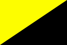 A two-colored flag, split diagonally, with yellow at the top and black at the bottom