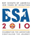 BSA 100 logo.jpg
