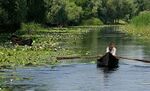 Danube Delta