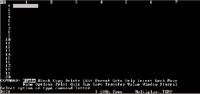 Multiplan on MS-DOS