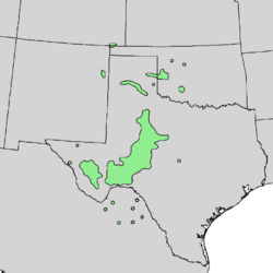 Quercus mohriana range map 1.png