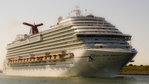 Carnival Dream Bow (cropped).png