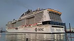 MSC Bellissima 20190226 190521 (cropped).jpg