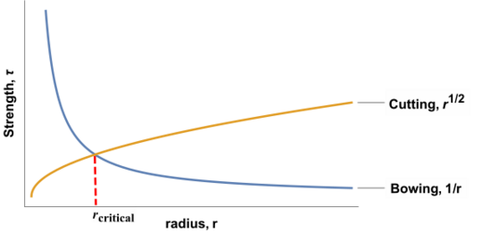 Figure 1. The competition between cutting and bowing.