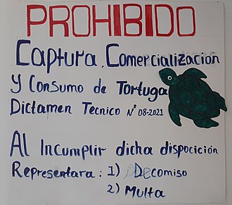 A notice in Bluefields, Nicaragua in 2023 indicating that the capturing and consuming of turtles is prohibited